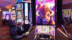 Bangladesh mobile visitor viewing live baccarat table content on app 23